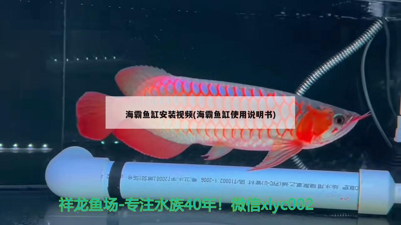 海霸鱼缸安装视频(海霸鱼缸使用说明书) 鱼缸