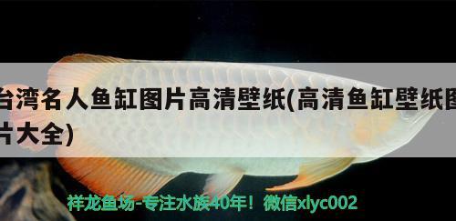 台湾名人鱼缸图片高清壁纸(高清鱼缸壁纸图片大全)