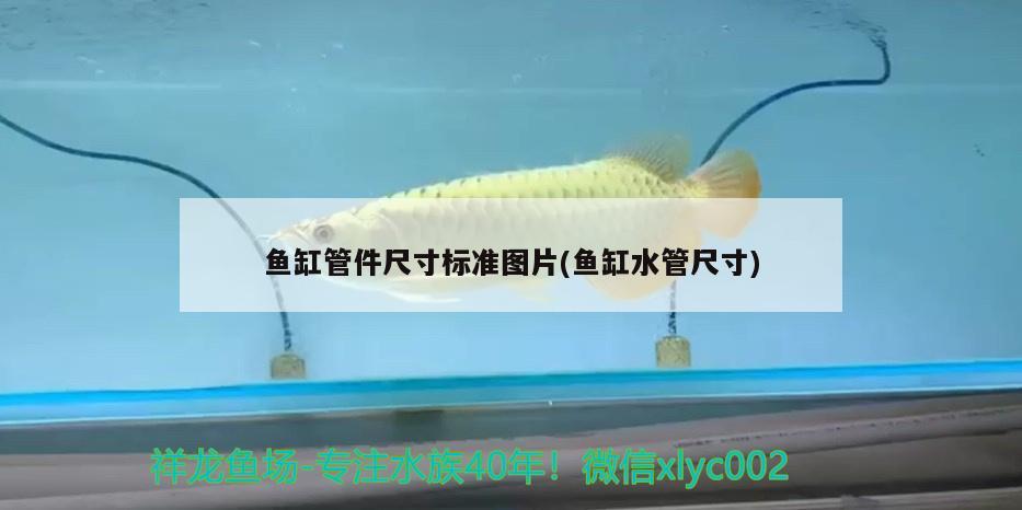 鱼缸管件尺寸标准图片(鱼缸水管尺寸)