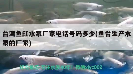 台湾鱼缸水泵厂家电话号码多少(鱼台生产水泵的厂家) 鱼缸水泵
