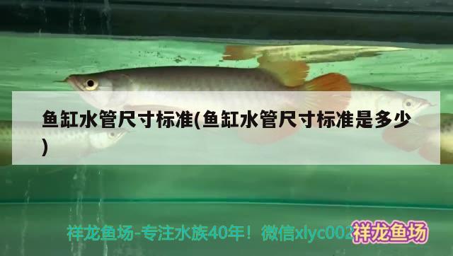 鱼缸水管尺寸标准(鱼缸水管尺寸标准是多少) BD魟鱼