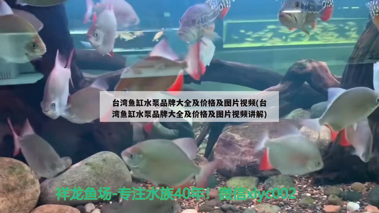 台湾鱼缸水泵品牌大全及价格及图片视频(台湾鱼缸水泵品牌大全及价格及图片视频讲解) 鱼缸水泵