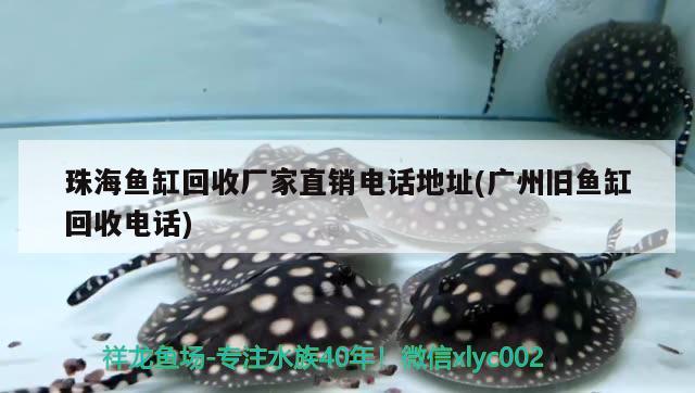 珠海鱼缸回收厂家直销电话地址(广州旧鱼缸回收电话)