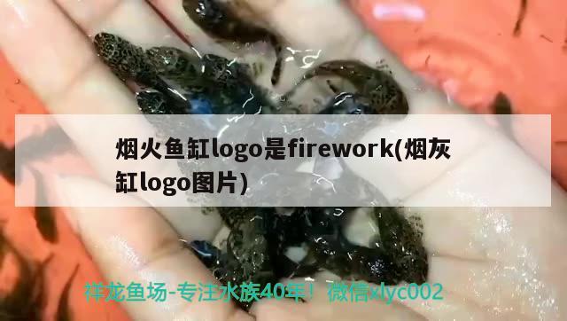 烟火鱼缸logo是firework(烟灰缸logo图片) 进口元宝凤凰鱼