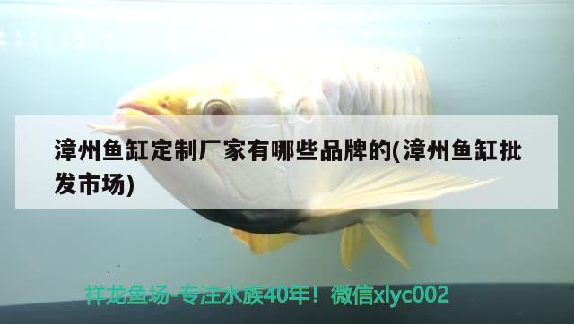 漳州鱼缸定制厂家有哪些品牌的(漳州鱼缸批发市场)