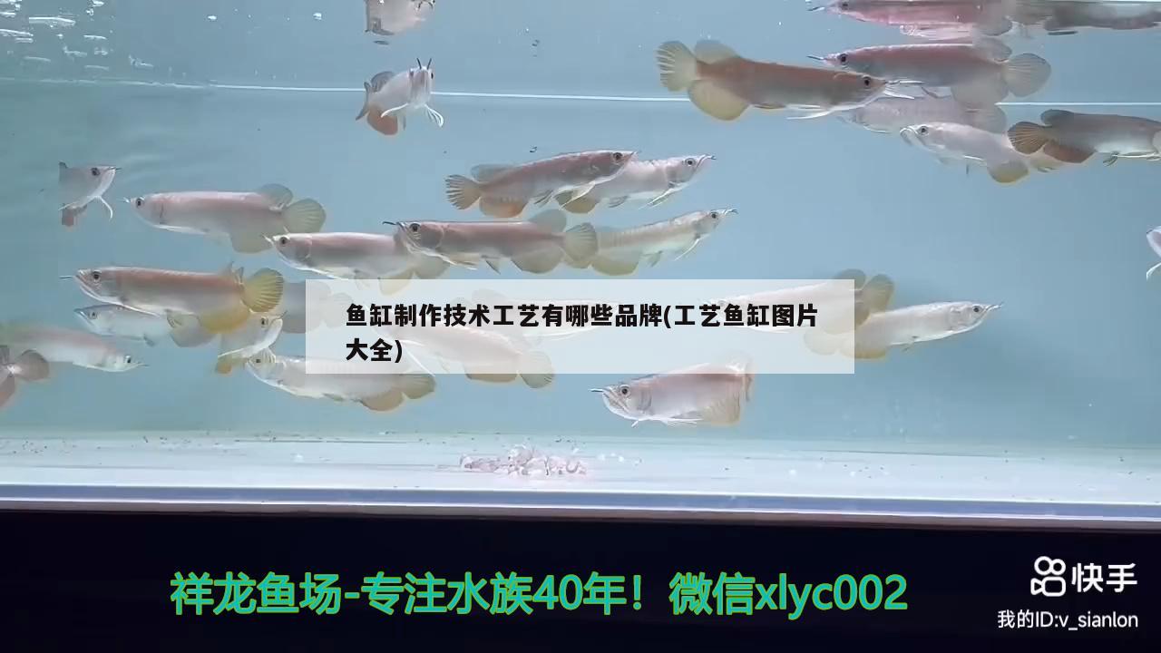 鱼缸制作技术工艺有哪些品牌(工艺鱼缸图片大全) 白写锦鲤鱼