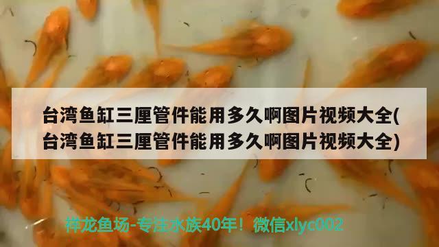 台湾鱼缸三厘管件能用多久啊图片视频大全(台湾鱼缸三厘管件能用多久啊图片视频大全)