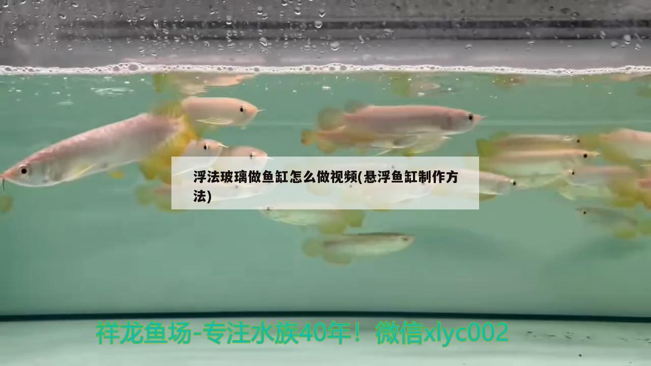 浮法玻璃做鱼缸怎么做视频(悬浮鱼缸制作方法)