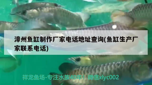 漳州鱼缸制作厂家电话地址查询(鱼缸生产厂家联系电话)
