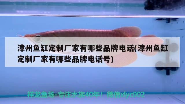 漳州鱼缸定制厂家有哪些品牌电话(漳州鱼缸定制厂家有哪些品牌电话号)