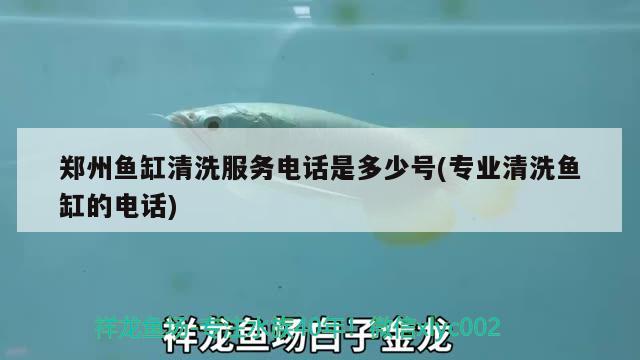 郑州鱼缸清洗服务电话是多少号(专业清洗鱼缸的电话)