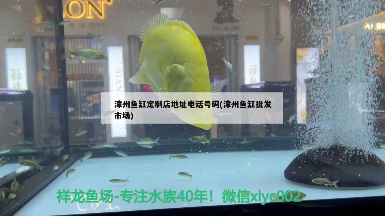 漳州鱼缸定制店地址电话号码(漳州鱼缸批发市场)