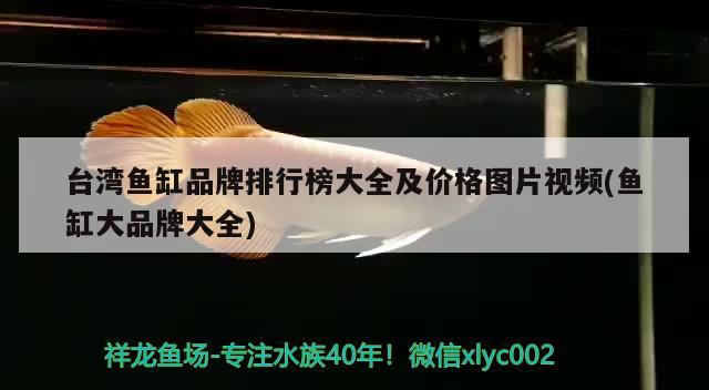 台湾鱼缸品牌排行榜大全及价格图片视频(鱼缸大品牌大全)