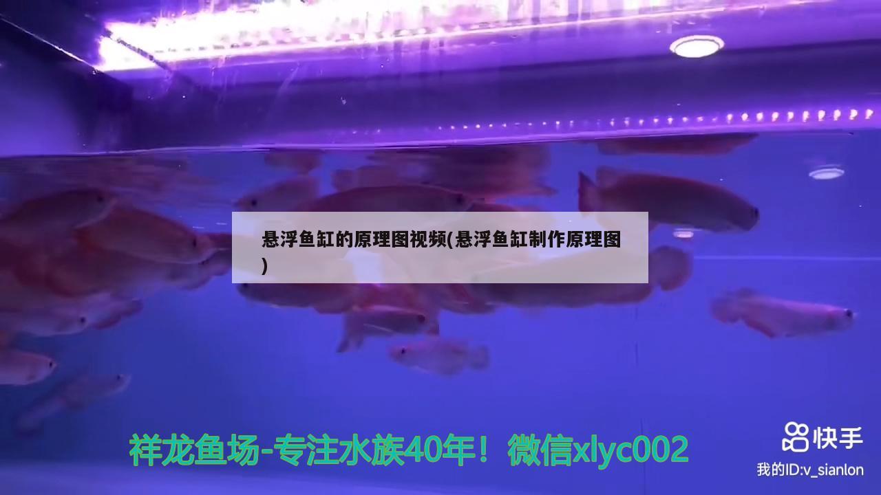 悬浮鱼缸的原理图视频(悬浮鱼缸制作原理图)