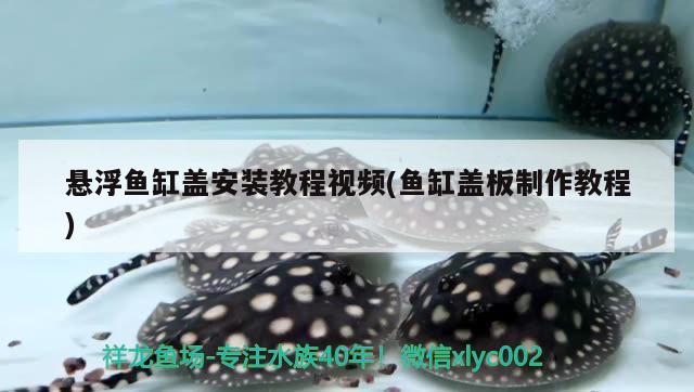 悬浮鱼缸盖安装教程视频(鱼缸盖板制作教程)