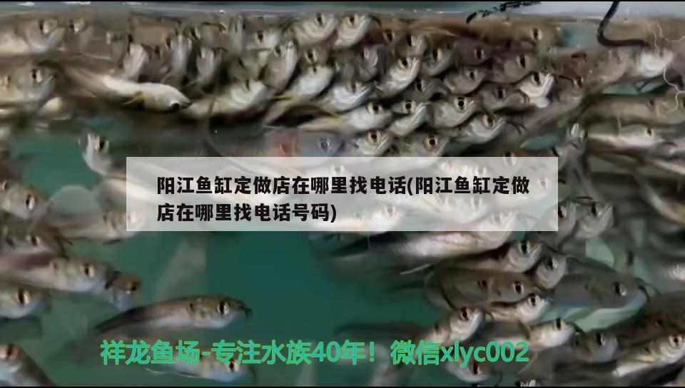 阳江鱼缸定做店在哪里找电话(阳江鱼缸定做店在哪里找电话号码) 白子黄化银龙鱼