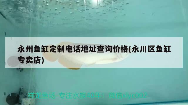 永州鱼缸定制电话地址查询价格(永川区鱼缸专卖店) 月光鸭嘴鱼