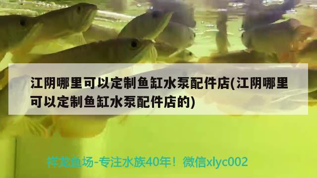 江阴哪里可以定制鱼缸水泵配件店(江阴哪里可以定制鱼缸水泵配件店的) 鱼缸水泵