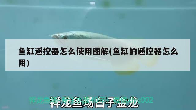 鱼缸遥控器怎么使用图解(鱼缸的遥控器怎么用) 黄鳍鲳鱼
