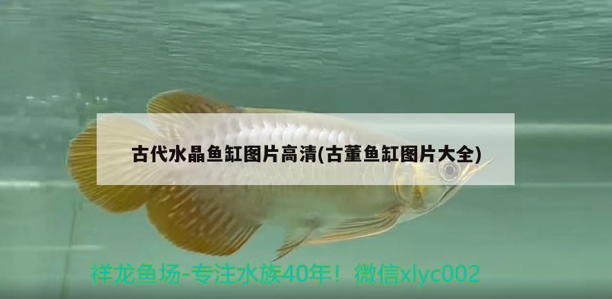 古代水晶鱼缸图片高清(古董鱼缸图片大全) 广州水族批发市场