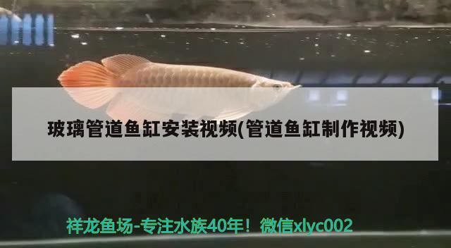 玻璃管道鱼缸安装视频(管道鱼缸制作视频)