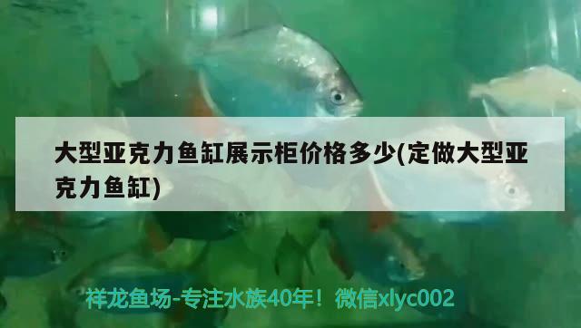 大型亚克力鱼缸展示柜价格多少(定做大型亚克力鱼缸) 白玉红龙鱼
