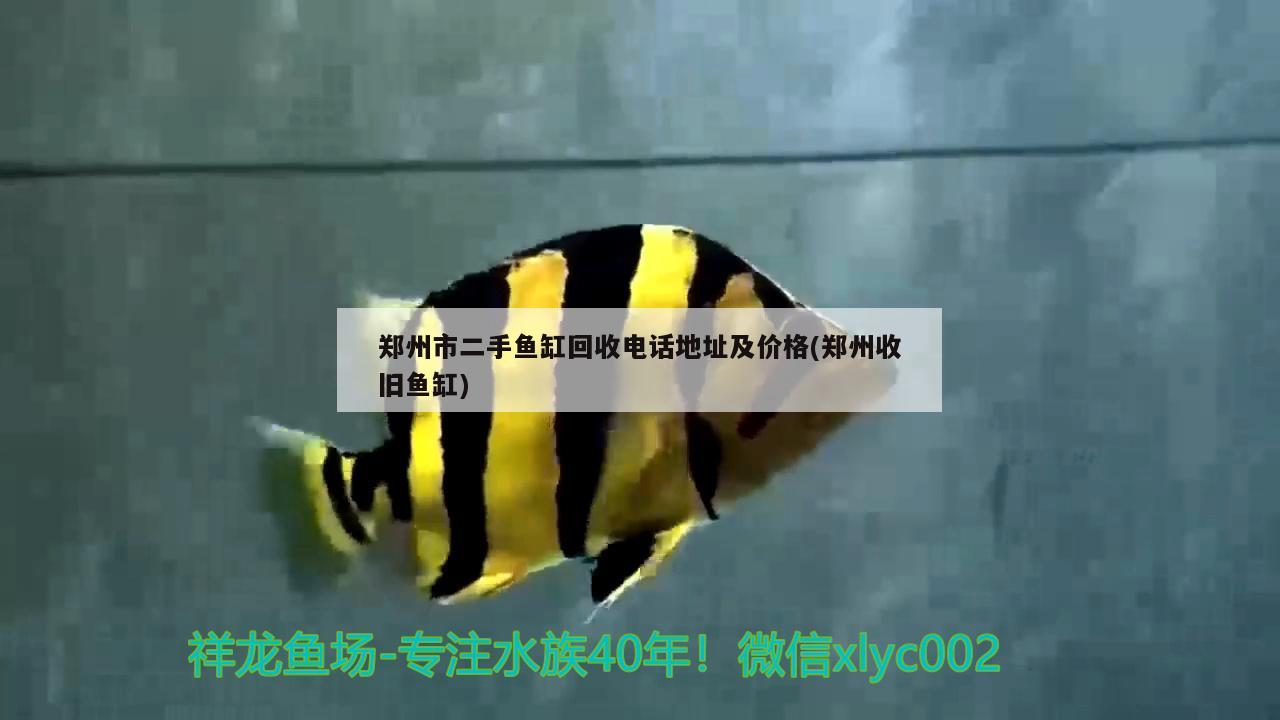 郑州市二手鱼缸回收电话地址及价格(郑州收旧鱼缸)