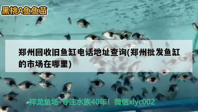 郑州回收旧鱼缸电话地址查询(郑州批发鱼缸的市场在哪里)