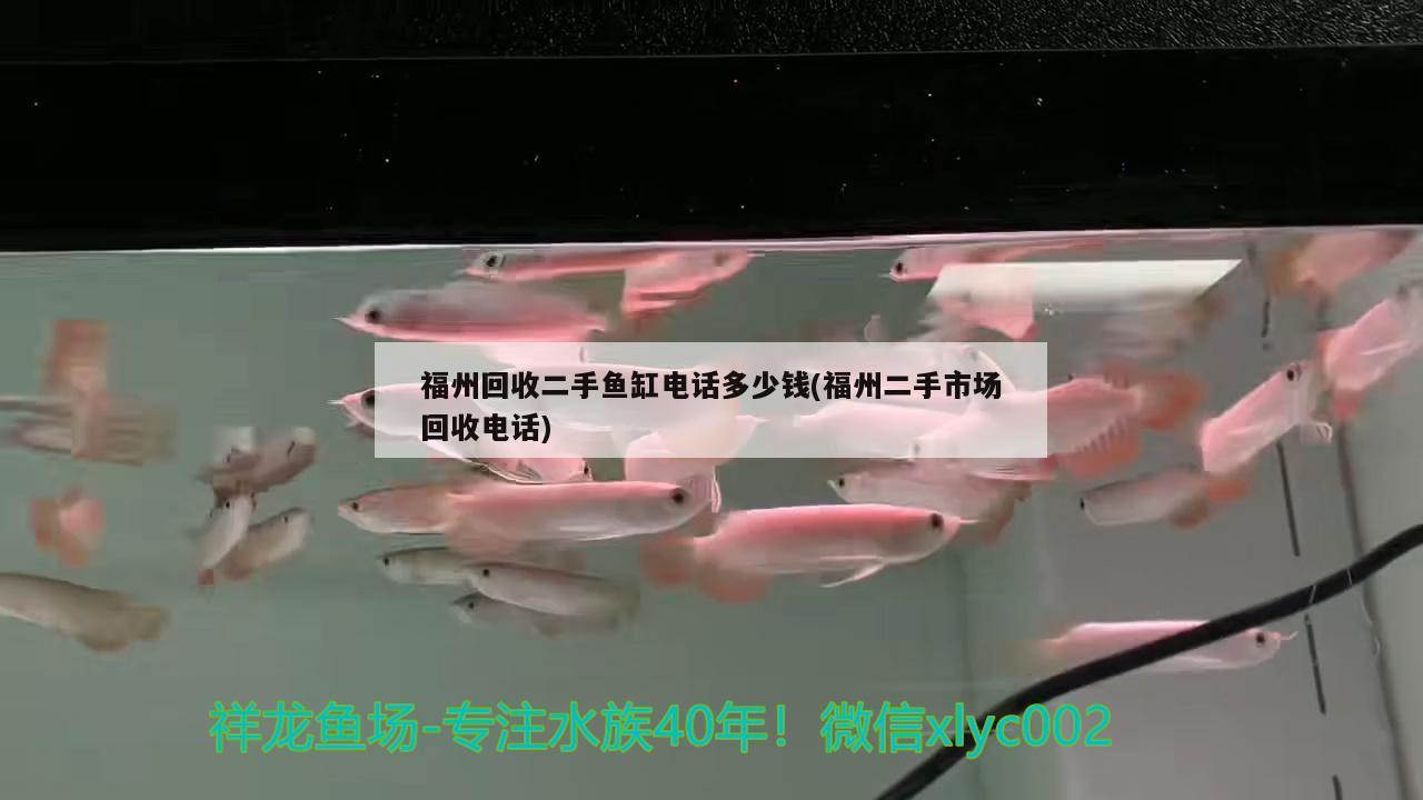 福州回收二手鱼缸电话多少钱(福州二手市场回收电话)