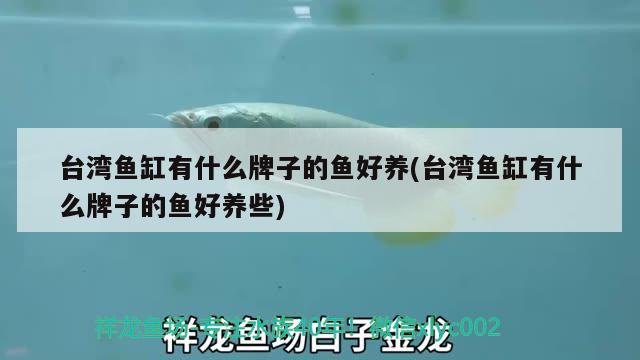 台湾鱼缸有什么牌子的鱼好养(台湾鱼缸有什么牌子的鱼好养些)