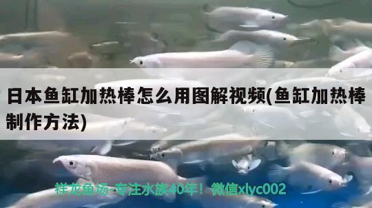 日本鱼缸加热棒怎么用图解视频(鱼缸加热棒制作方法)