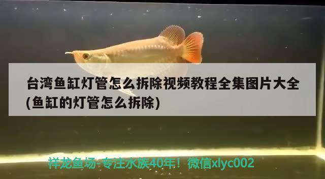 台湾鱼缸灯管怎么拆除视频教程全集图片大全(鱼缸的灯管怎么拆除)