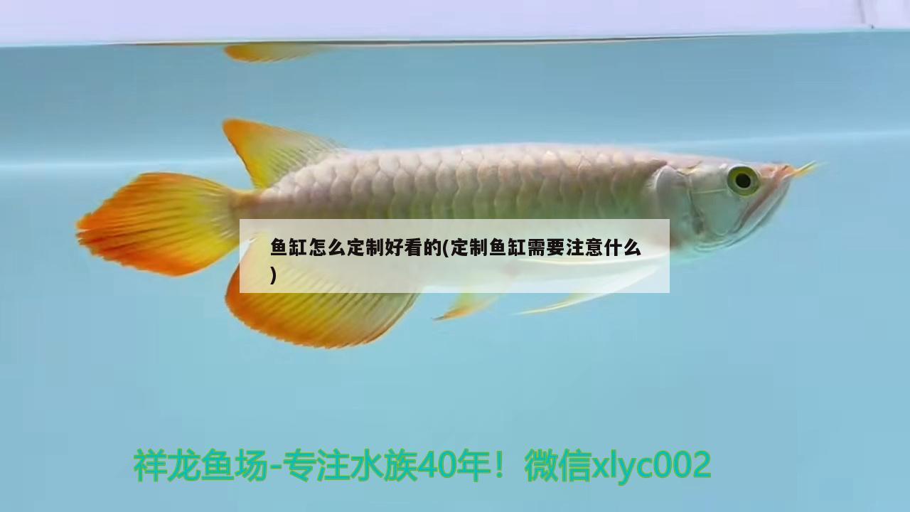 鱼缸怎么定制好看的(定制鱼缸需要注意什么) 广州祥龙国际水族贸易