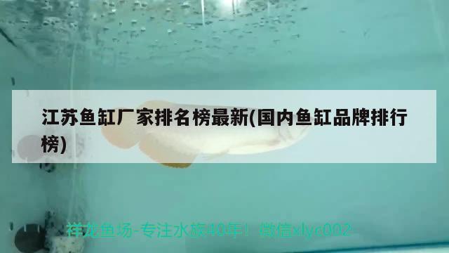 江苏鱼缸厂家排名榜最新(国内鱼缸品牌排行榜)