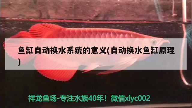 鱼缸自动换水系统的意义(自动换水鱼缸原理) 红白锦鲤鱼
