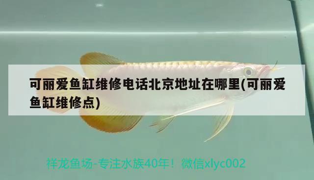 可丽爱鱼缸维修电话北京地址在哪里(可丽爱鱼缸维修点) 潜水艇鱼 第2张
