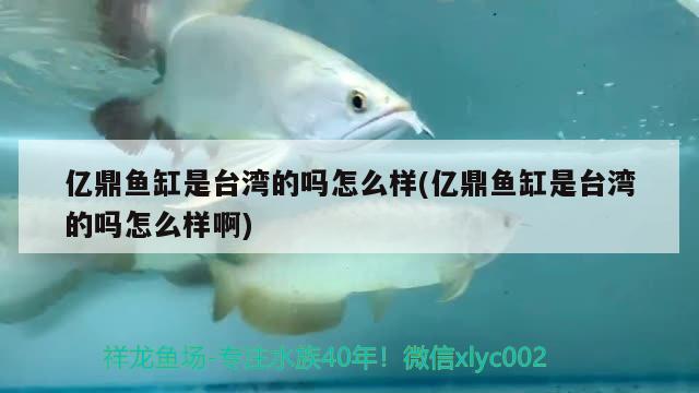 亿鼎鱼缸是台湾的吗怎么样(亿鼎鱼缸是台湾的吗怎么样啊) 祥龙水族护理水