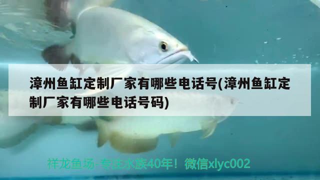 漳州鱼缸定制厂家有哪些电话号(漳州鱼缸定制厂家有哪些电话号码)