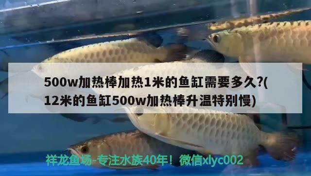 500w加热棒加热1米的鱼缸需要多久?(12米的鱼缸500w加热棒升温特别慢)