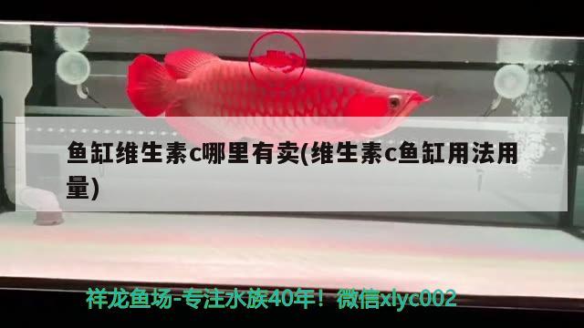 鱼缸维生素c哪里有卖(维生素c鱼缸用法用量) 印尼小红龙