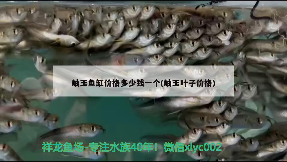 岫玉鱼缸价格多少钱一个(岫玉叶子价格) 广州观赏鱼批发市场
