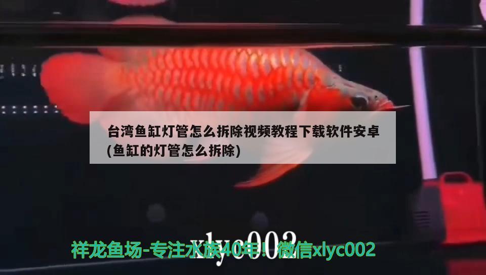台湾鱼缸灯管怎么拆除视频教程下载软件安卓(鱼缸的灯管怎么拆除)