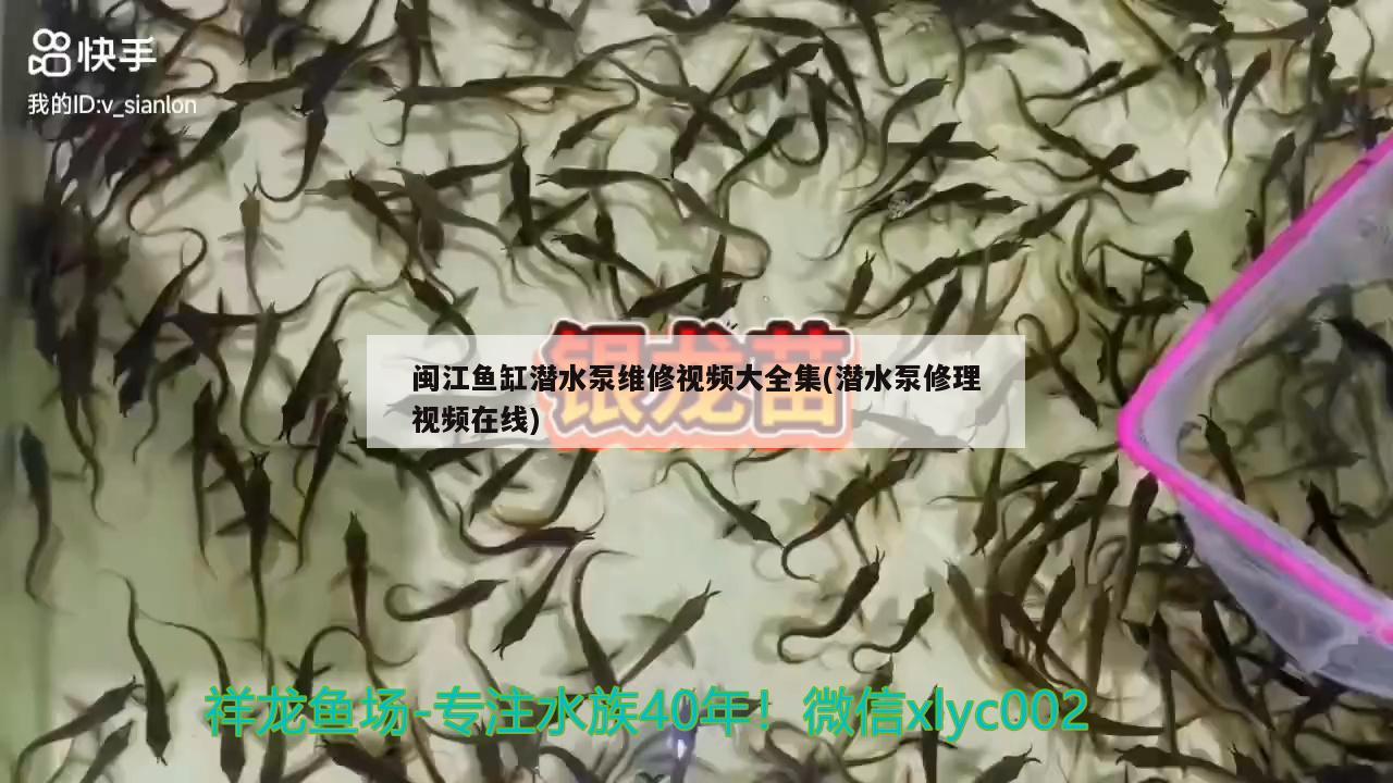 闽江鱼缸潜水泵维修视频大全集(潜水泵修理视频在线)