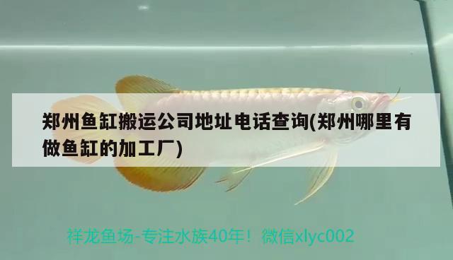 郑州鱼缸搬运公司地址电话查询(郑州哪里有做鱼缸的加工厂)