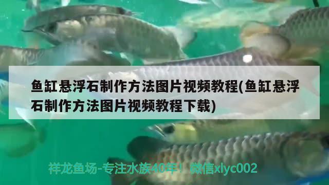 鱼缸悬浮石制作方法图片视频教程(鱼缸悬浮石制作方法图片视频教程下载)