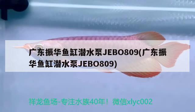 广东振华鱼缸潜水泵JEBO809(广东振华鱼缸潜水泵JEBO809)