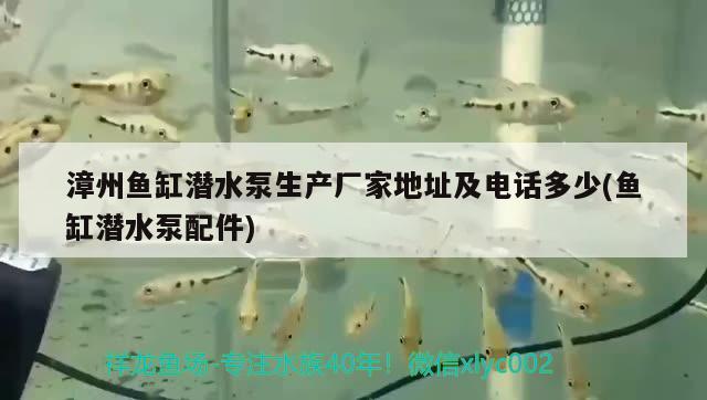 漳州鱼缸潜水泵生产厂家地址及电话多少(鱼缸潜水泵配件)