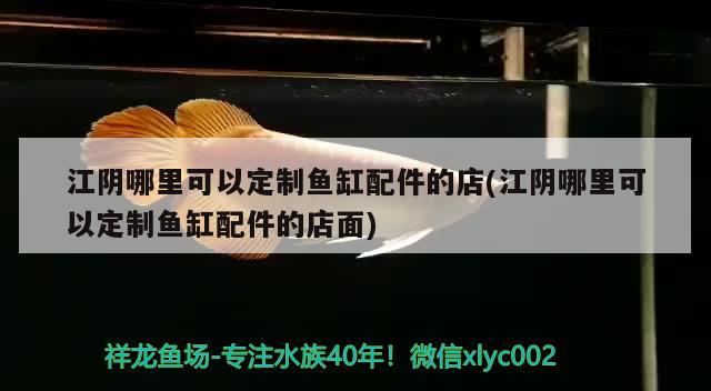 江阴哪里可以定制鱼缸配件的店(江阴哪里可以定制鱼缸配件的店面)