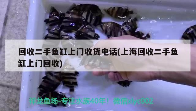 回收二手鱼缸上门收货电话(上海回收二手鱼缸上门回收) 广州观赏鱼鱼苗批发市场