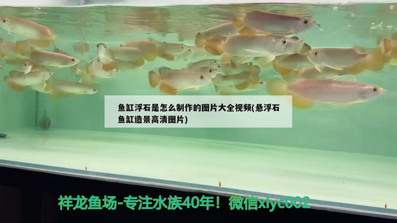 鱼缸浮石是怎么制作的图片大全视频(悬浮石鱼缸造景高清图片)